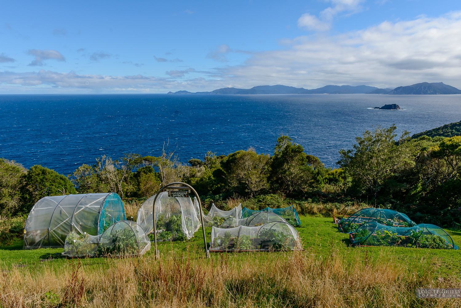 photograph of Australia's southermost veggie patch on Maatsuyker Island